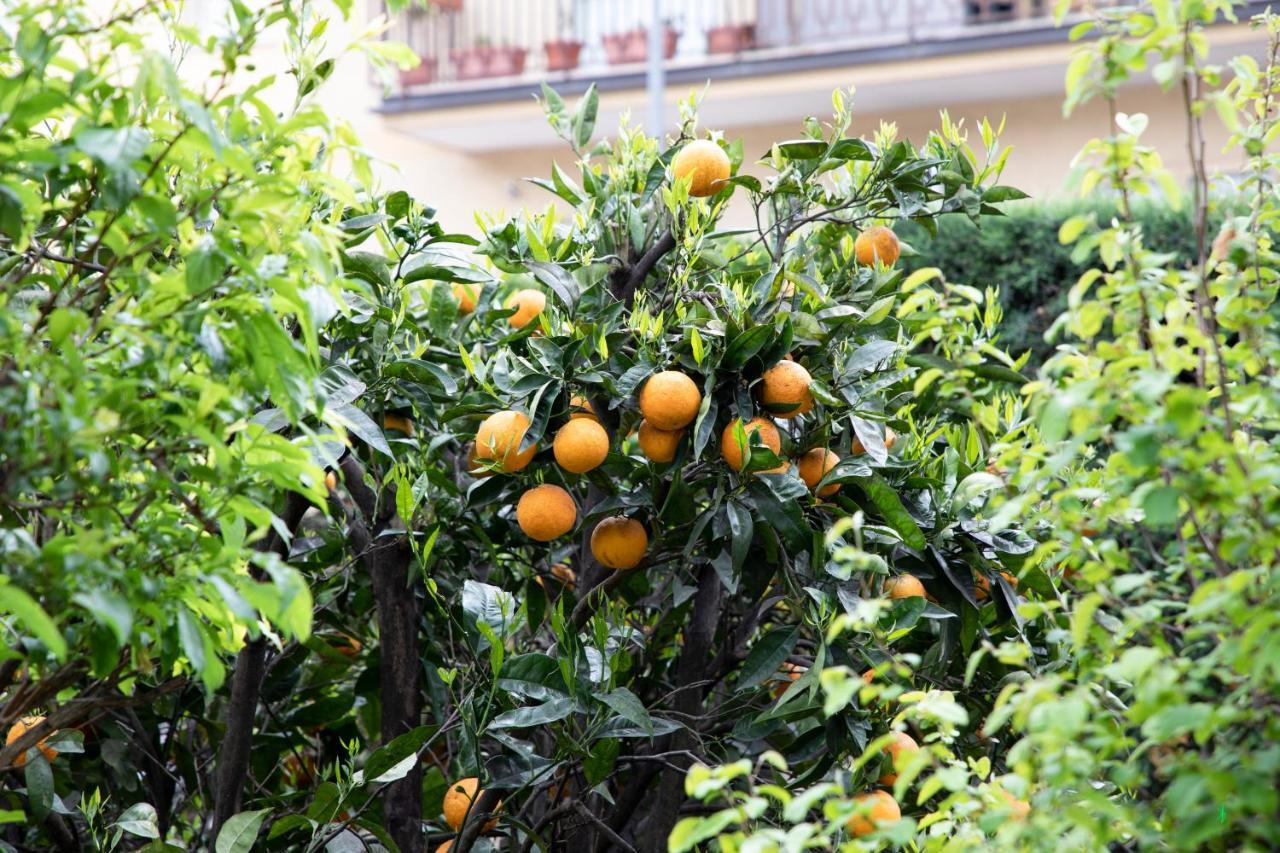 L' Albero Di Giada Panzió Caserta Kültér fotó