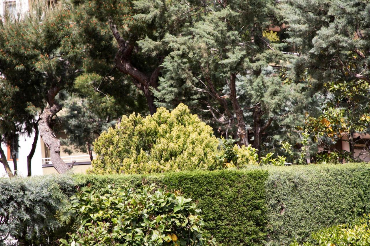 L' Albero Di Giada Panzió Caserta Kültér fotó